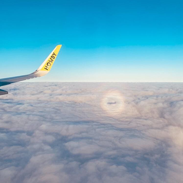 How To Fly With A Firearm